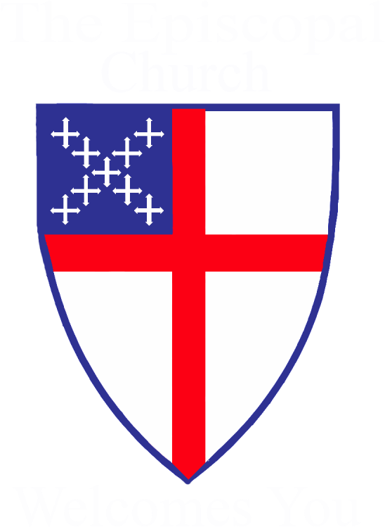 Pin Episcopal Shield Clip Art - Saint John's Episcopal School Logo (800x800)