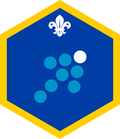 Cub Team Leader Challenge Badge - Cub Outdoor Challenge Badge (400x462)