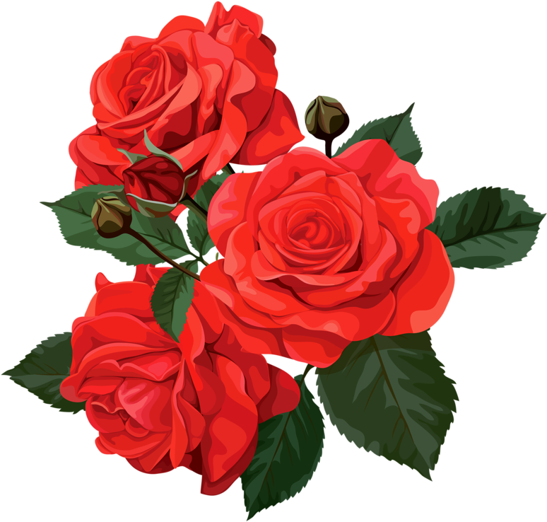 Flower Bouquet Rose Clip Art - Obituary Roses (800x763)