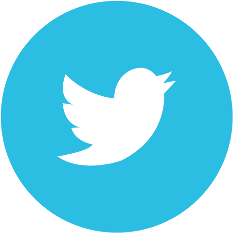 Facebook - Twitter - Youtube - Linkedin - Twitter Icon Flat Circle (512x512)