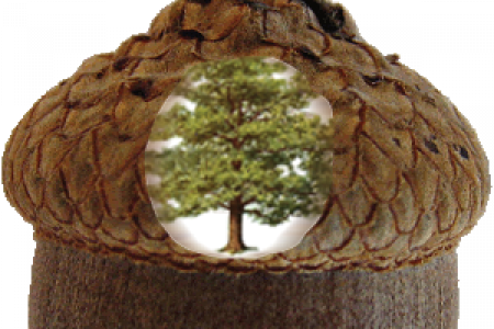 Acorn Clipart Transparent - Natural Herbal Therapy [book] (450x300)