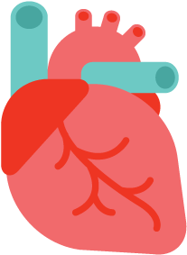 Coronary Artery Disease Logiq3 - Heart Organ Clipart (521x521)