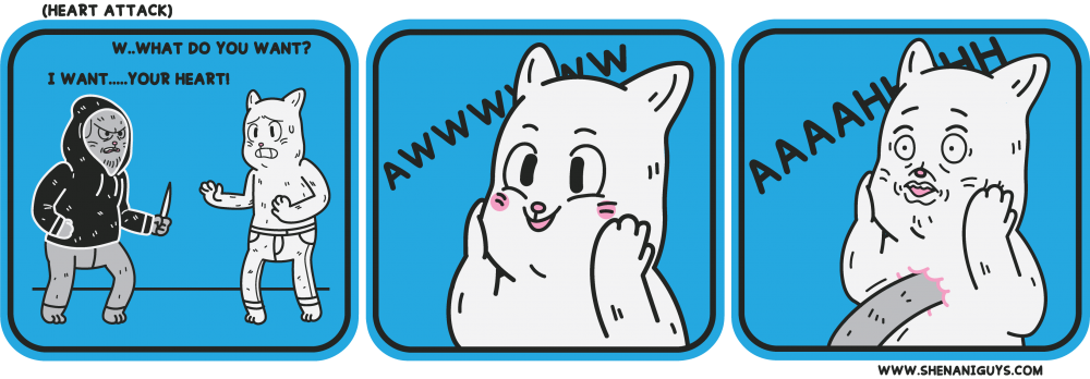 Heart Attack - Myocardial Infarction (1000x348)