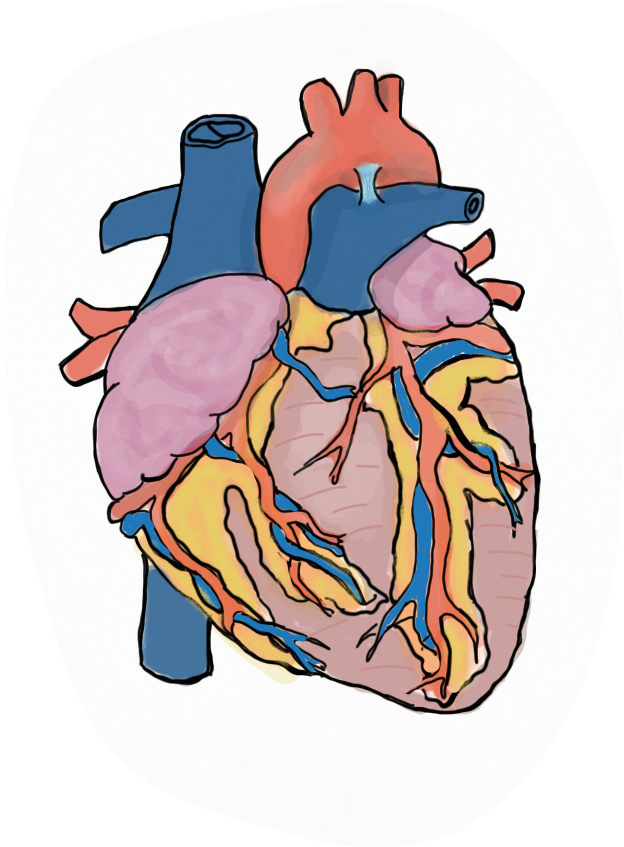 Heartdiagram-lydiaritter - Personal Injury (644x866)