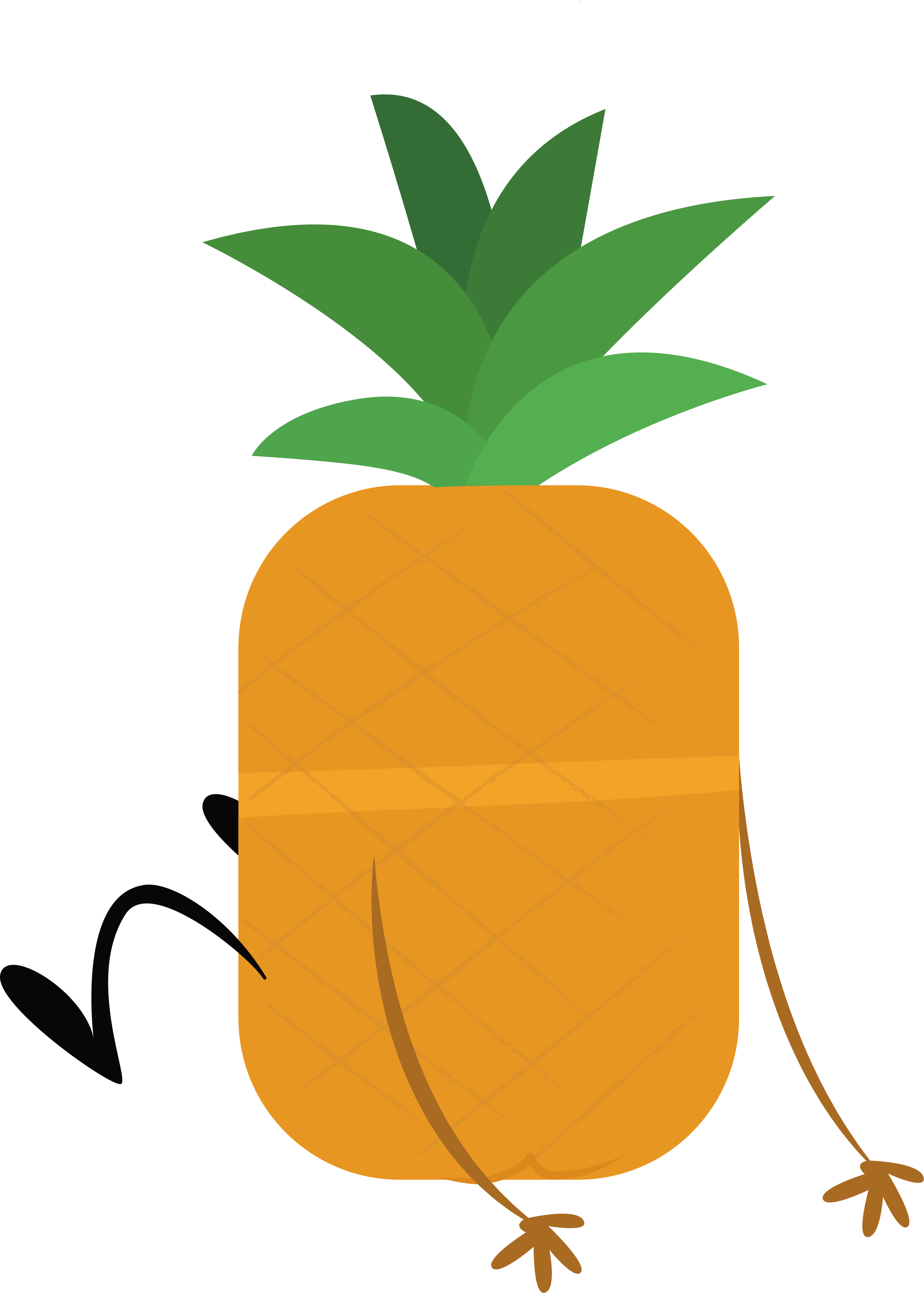 The Confused Pineapple - The Confused Pineapple (3048x4266)