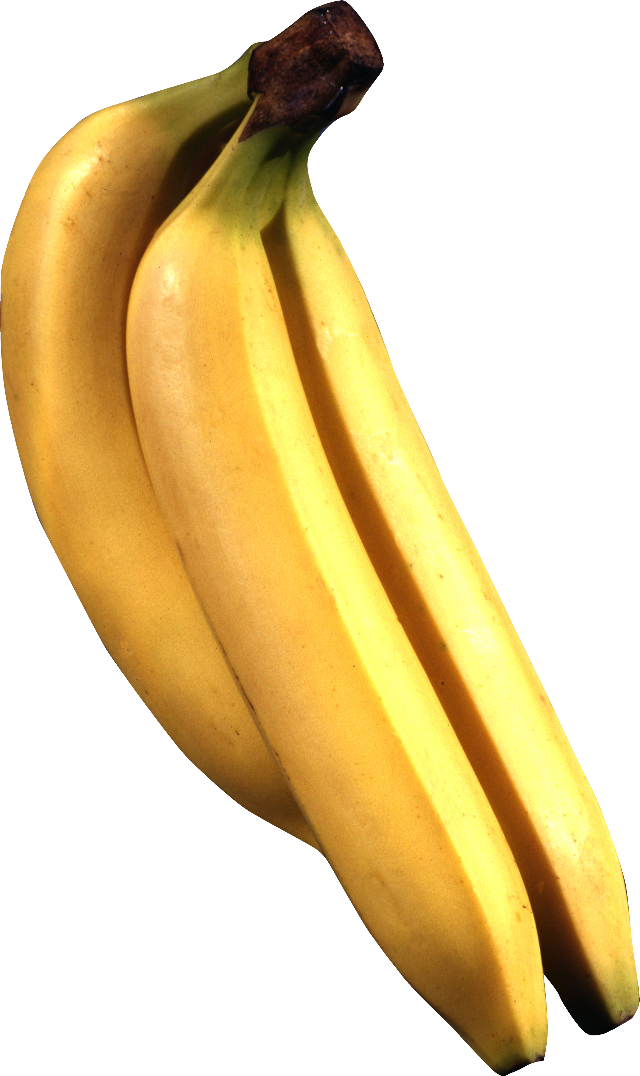 Banana Stock Photography Stock - Banana Stock Photography Stock (2035x3419)