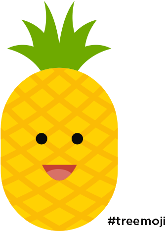 Pineapple Kush - Seedless Fruit (900x900)