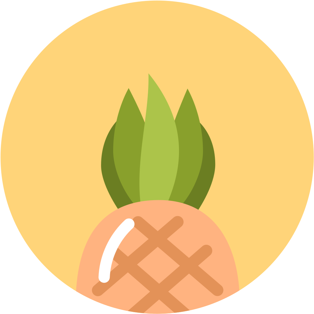 Pineapple Icon - Food Icons (1024x1024)