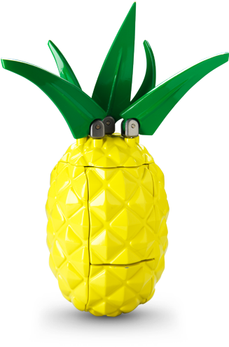 Previous - Next - - Pineapple (425x565)