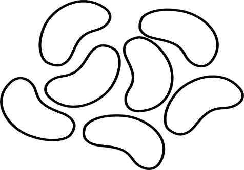 Coloring Trend Medium Size Beans Starburst Jelly Bean - Black And White Jelly Bean Clipart (476x333)