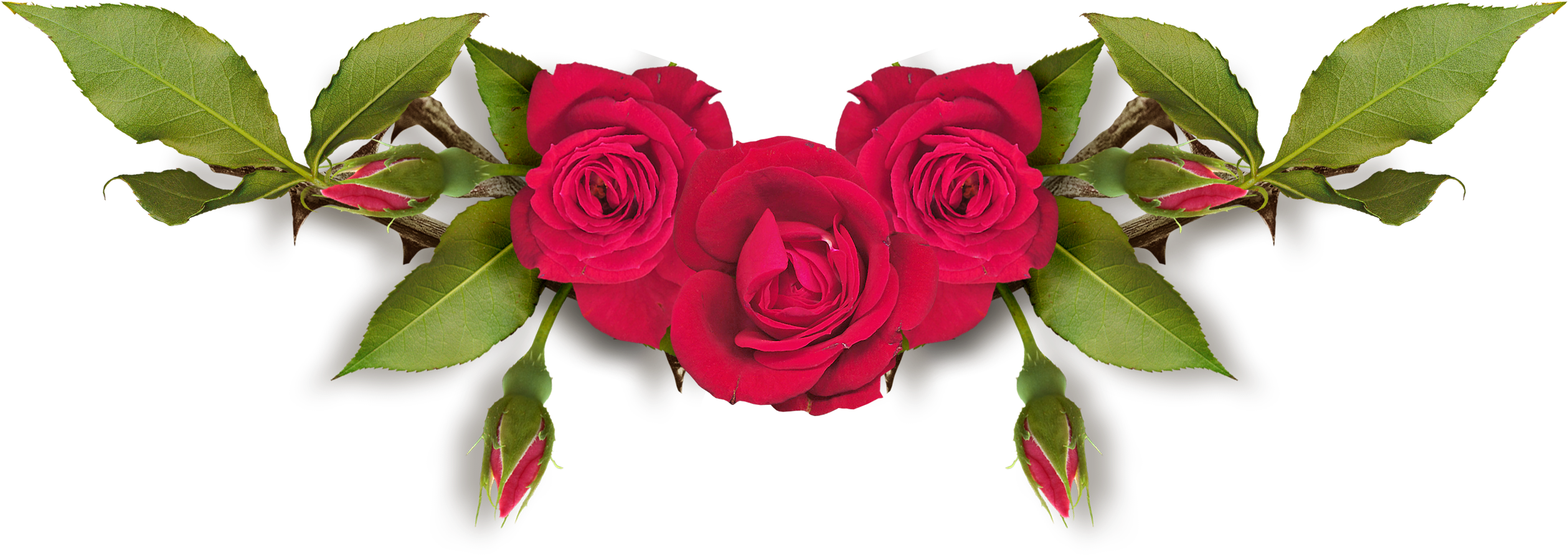 Flower Clip Art - Flower Clip Art (2548x970)