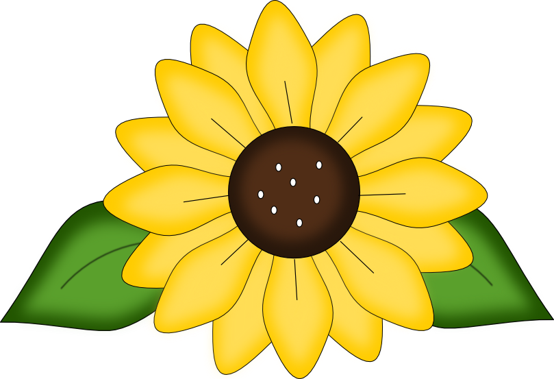 Sun Flower Svg Free (809x553)