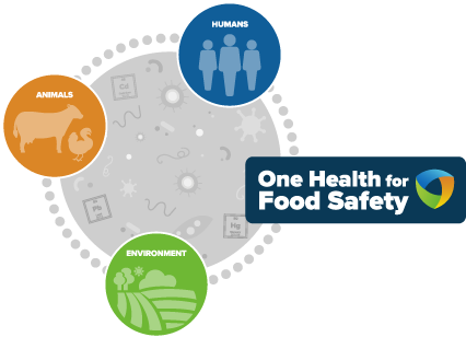 One Health For Food Safety Chain - Health (545x307)