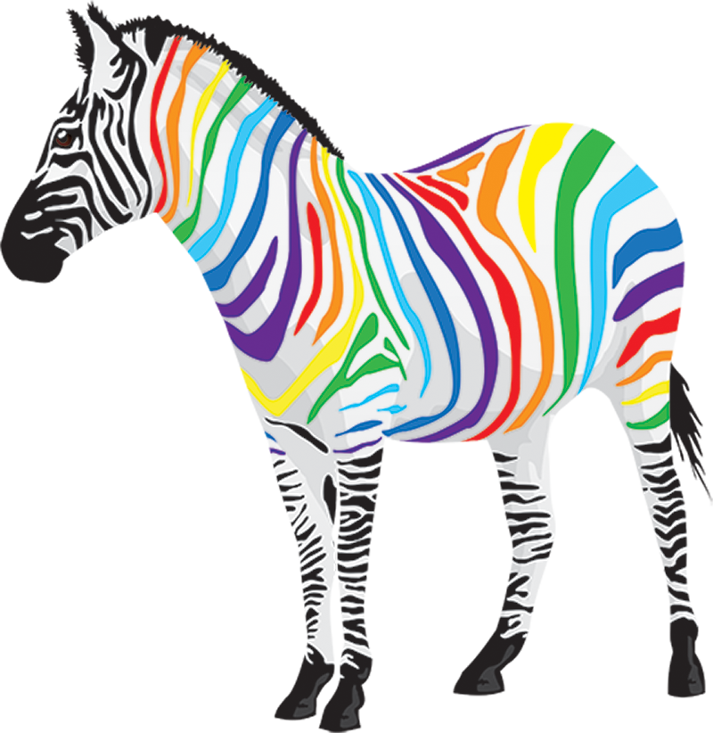 Your Emotions And Moods - Style And Apply Rainbow Zebra Wall Decal (800x822)