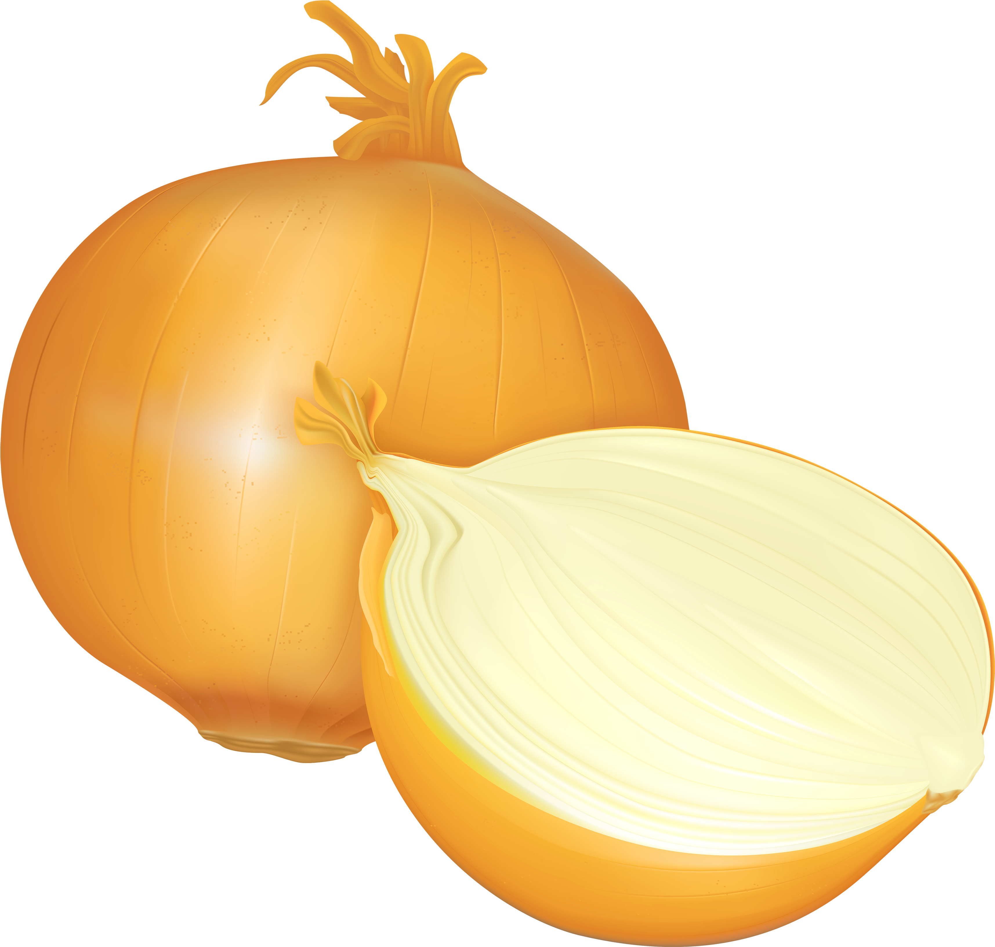 Onion Png Clipart - Clip Art Onion (3500x3335)