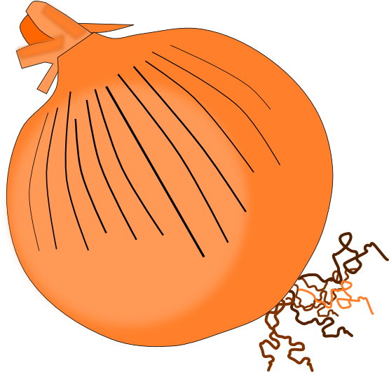 Onion Clipart - Scabies Treatment In India (555x532)