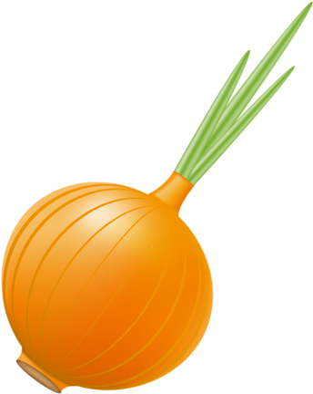 Onion Clipart Vidalia Onion - Onion Vector (407x500)