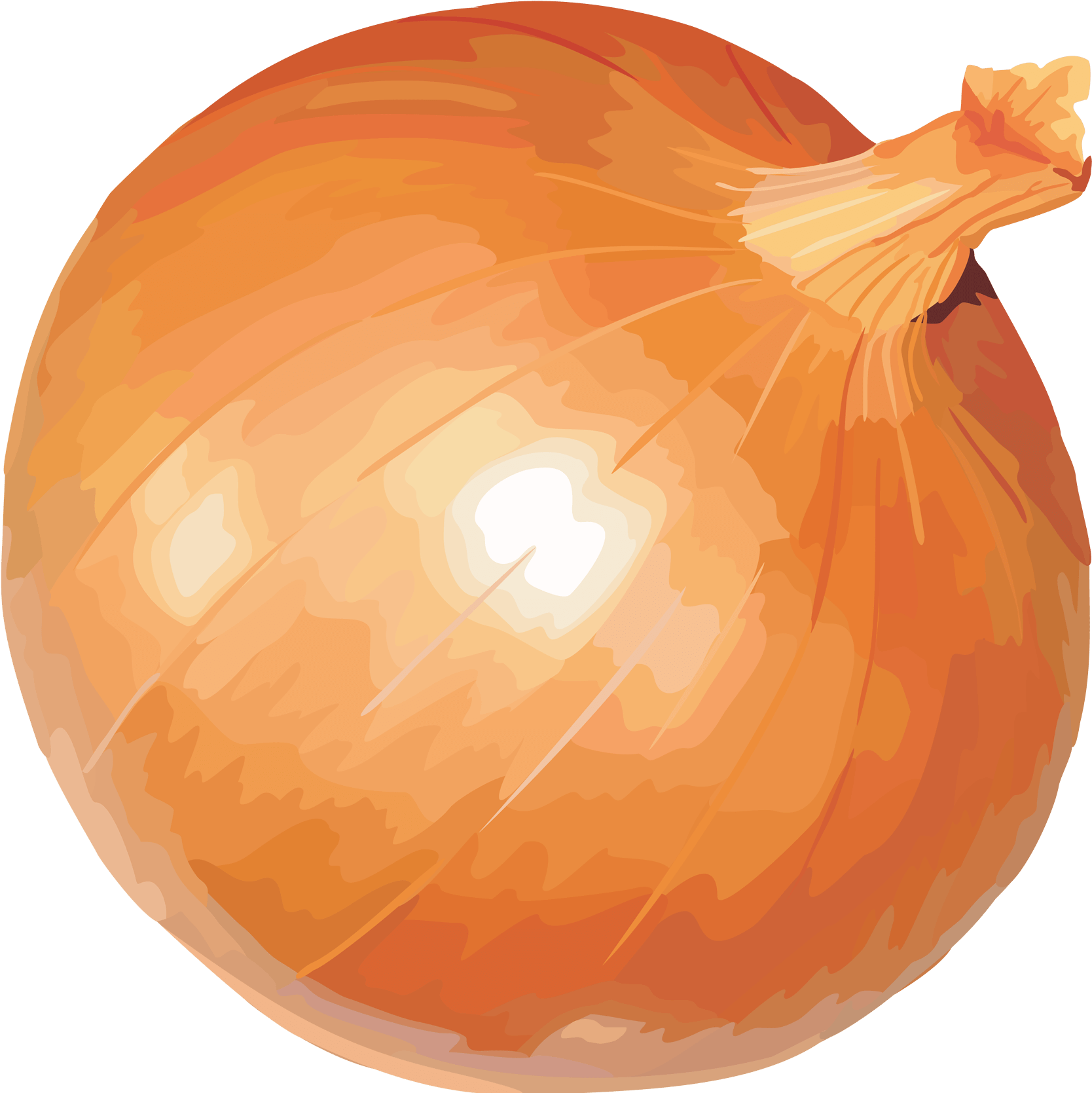 Onion Clipart Large - Onion (1695x1694)