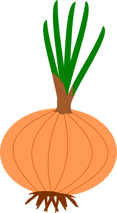 Onion Cliparts - Onion (396x720)