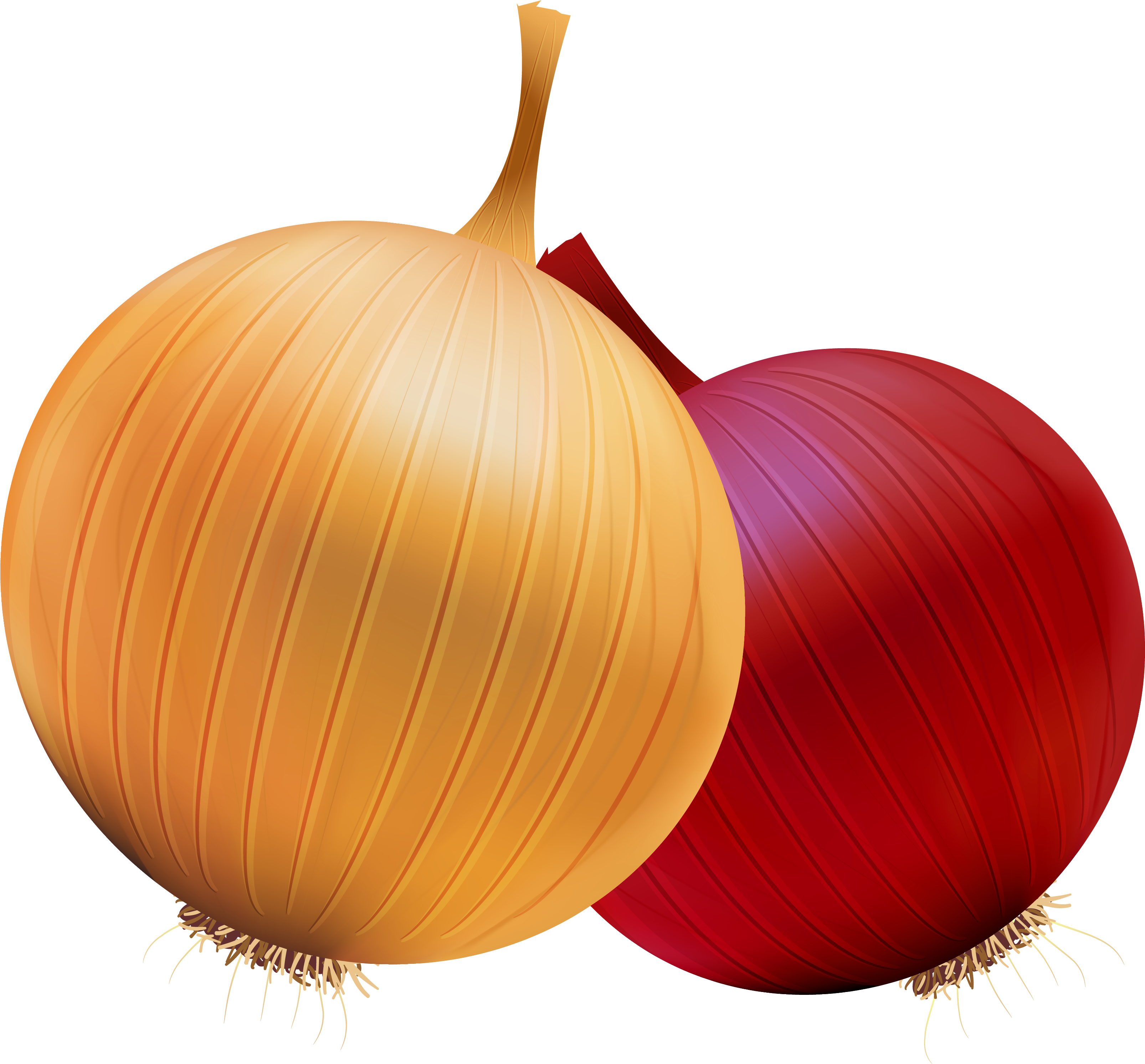 Free Download Of Onion Icon Clipart - Onion Png (3251x3022)
