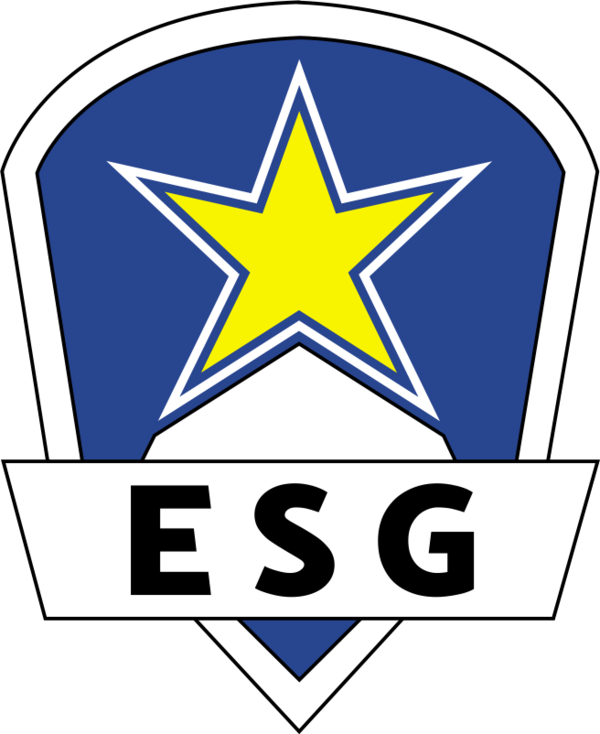 Team Information - Euronics Gaming (600x734)