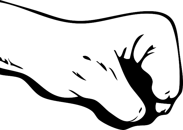 Fist Black, Outline, Rock, Hand, White, Fist - Bradley Tamás Visszaüt [book] (640x454)