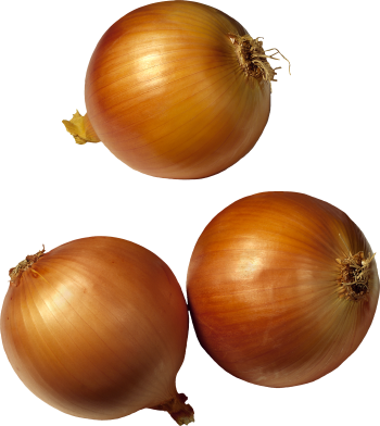 Onion Clipart Transparent - Onion Clipart Transparent Background (350x392)