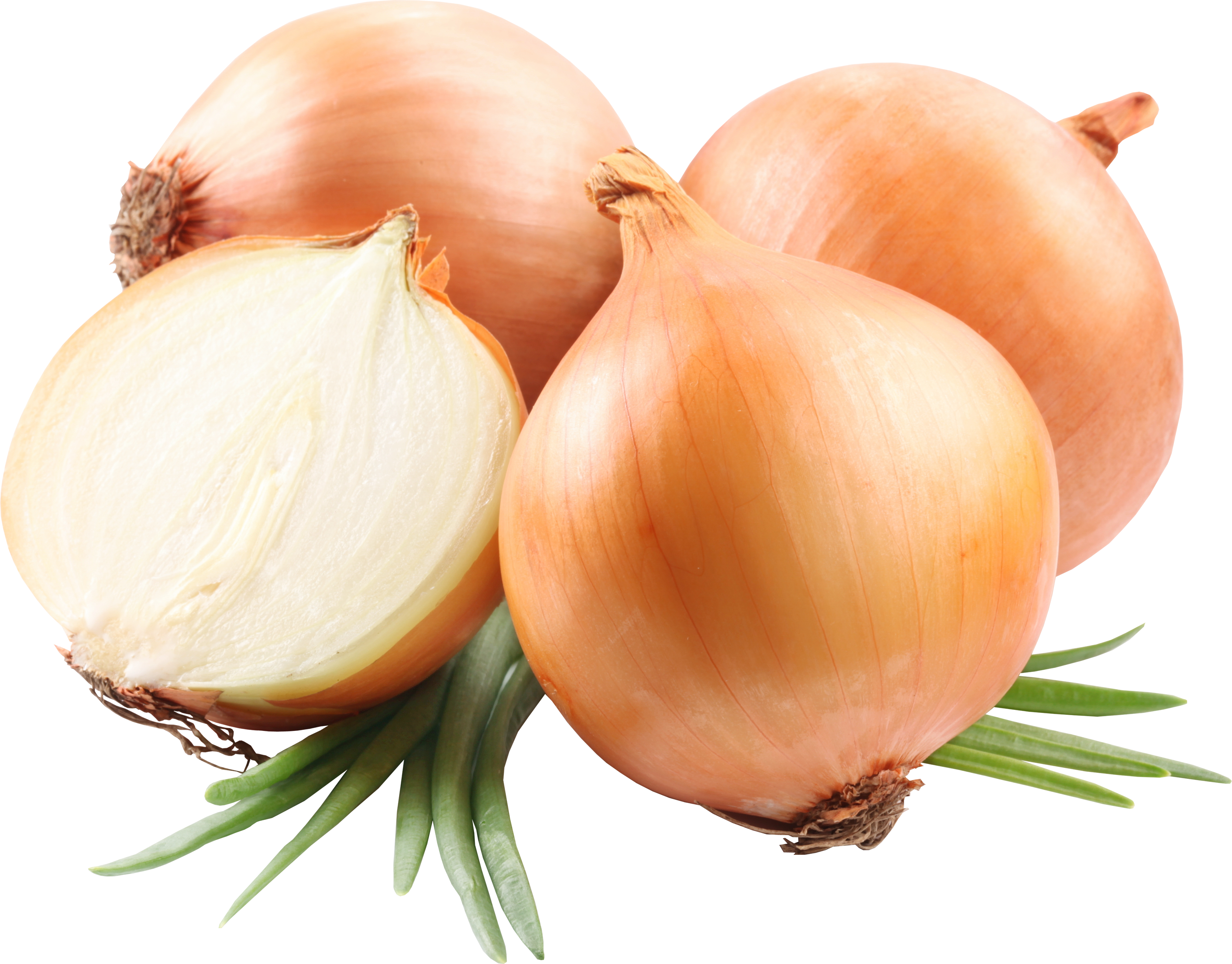 Onion Png Image, Free Download Picture - Onion Png (2822x2208)