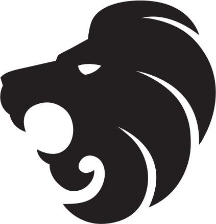 Team Information - Cs Go (423x438)