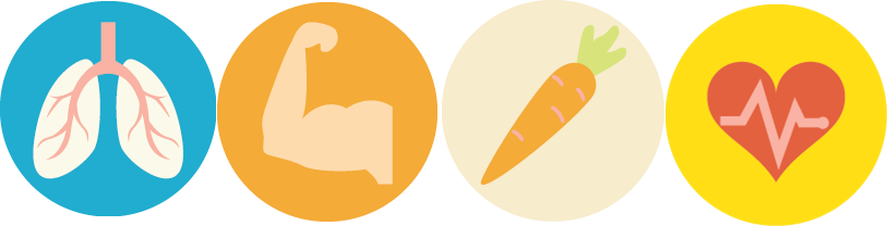 Normal Workout - Clipart Health And Wellness (813x208)