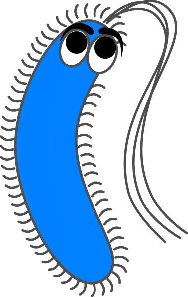 Bacteria Blue Funny Clip Art At Vector Clip Art - Clipart Bacteria (378x595)