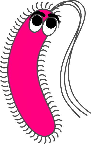 Modified Funny Pink Clip Art - Gram Negative Bacilli Cartoon (378x595)
