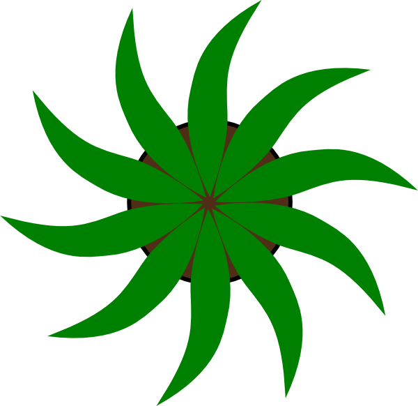 Green Star Shape Clip Art - Clip Art (600x582)