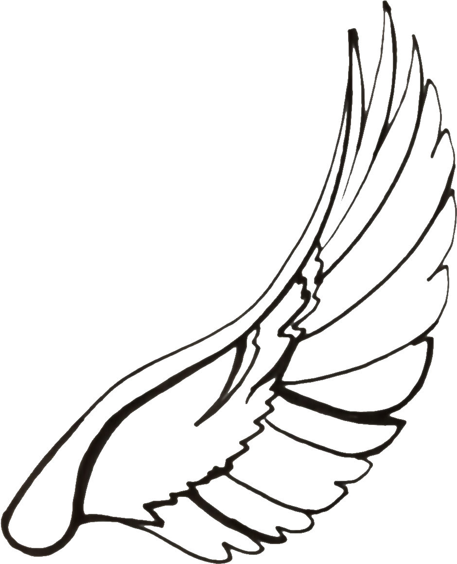 Art Love Light - Dove Wings Drawing (1059x1281)