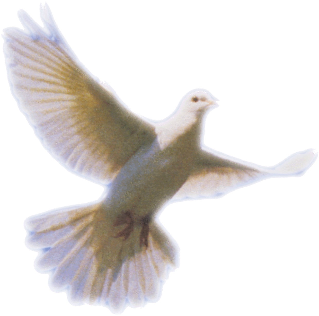 Dove Png Clip Art Image - Holy Spirit Dove Symbol (1240x1228)