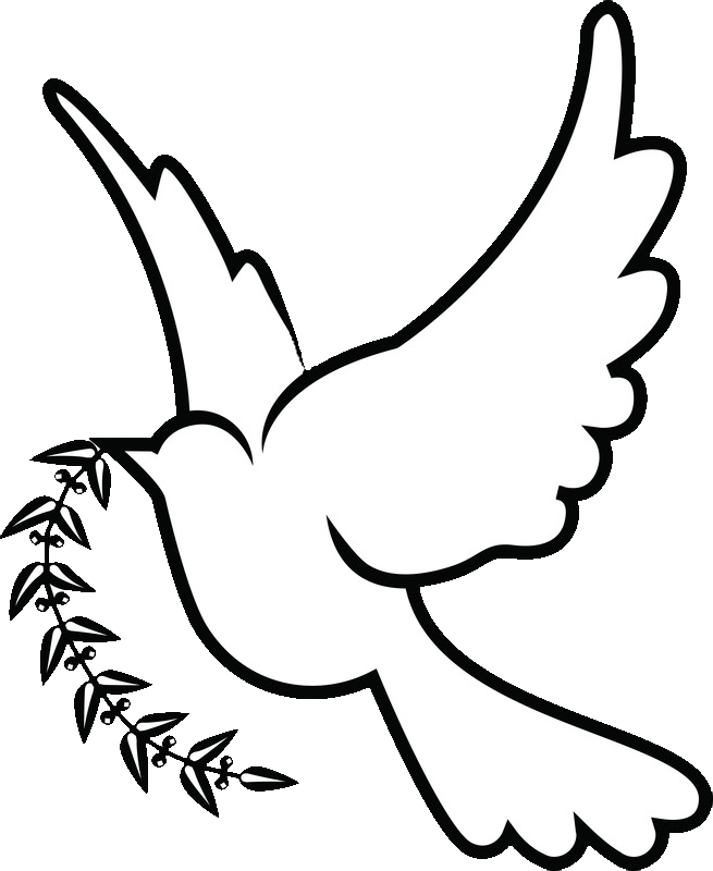 Columbidae Doves As Symbols Christianity Clip Art - White Dove Drawing Png (655x800)
