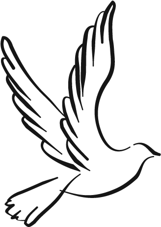 Democratic Reform Party - Black And White Dove Png (340x473)