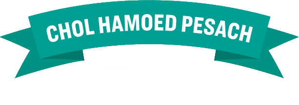 Chol Hamoed Pesach In Niagara Falls - Illustration (613x216)