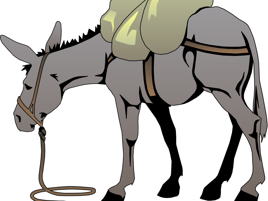 God And Duration Of Our Life - Mule Clipart (900x675)