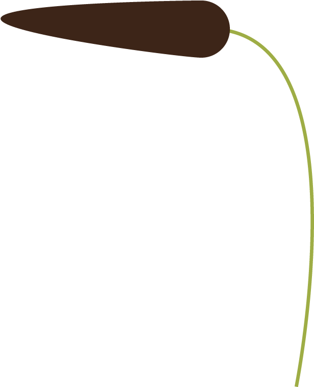 Free Vector The Mountain Lake - Vector Graphics (615x777)