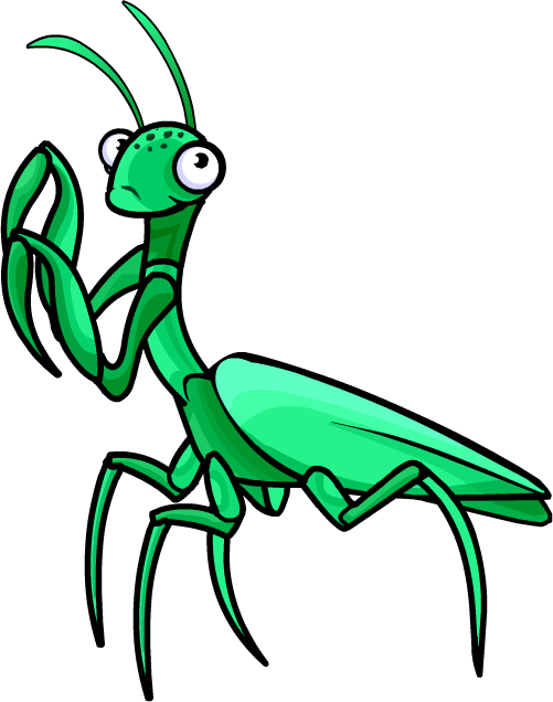Praying Mantis Clipart - Praying Mantis Png (501x636)