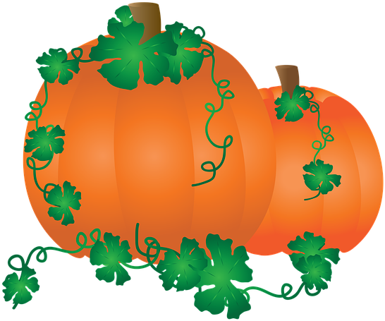 Pumpkin Leaves Harvest October Halloween Carving - Kürbis-gewürz-tasse Kaffeetasse (556x720)