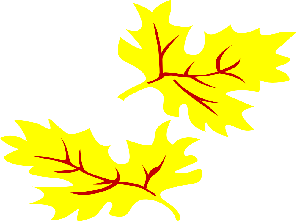 October 04 Xochi - Fall Leaves Clip Art (999x743)