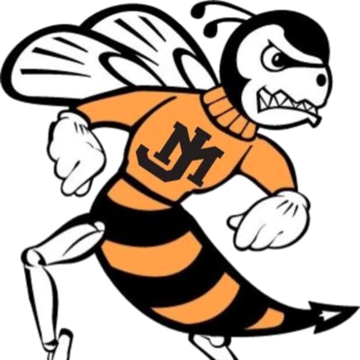 The James Monroe Yellow Jackets - James Monroe High School Mascot (720x720)