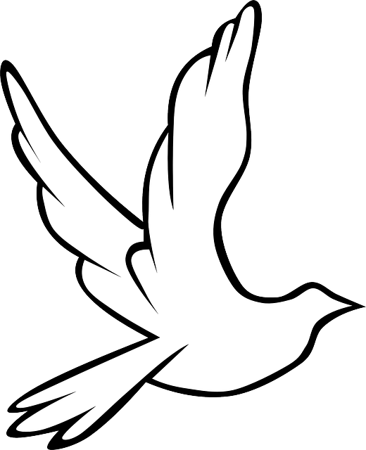 Flying Dove Clip Art Check Out The Immanuel Prayer - Kuş Çizimi (520x640)