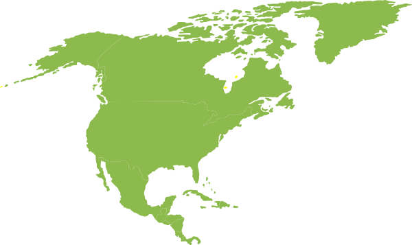 North America Continent Silhouette (600x357)