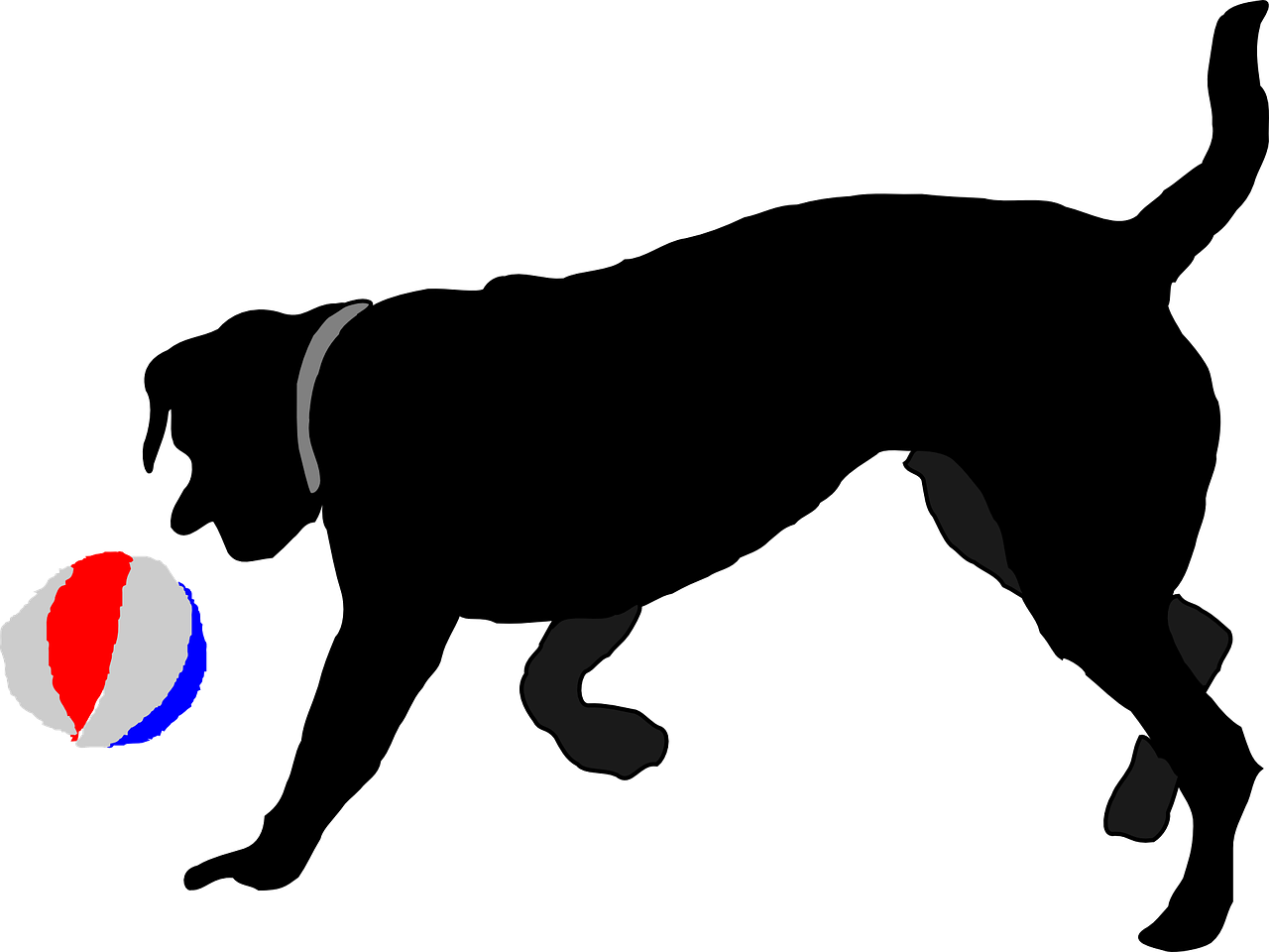 Dog Chasing Ball Clip Art At Clker - Dog And Ball Clipart (2400x1800)