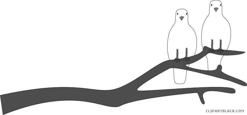 Dove Animal Free Black White Clipart Images Clipartblack - Clip Art (800x373)
