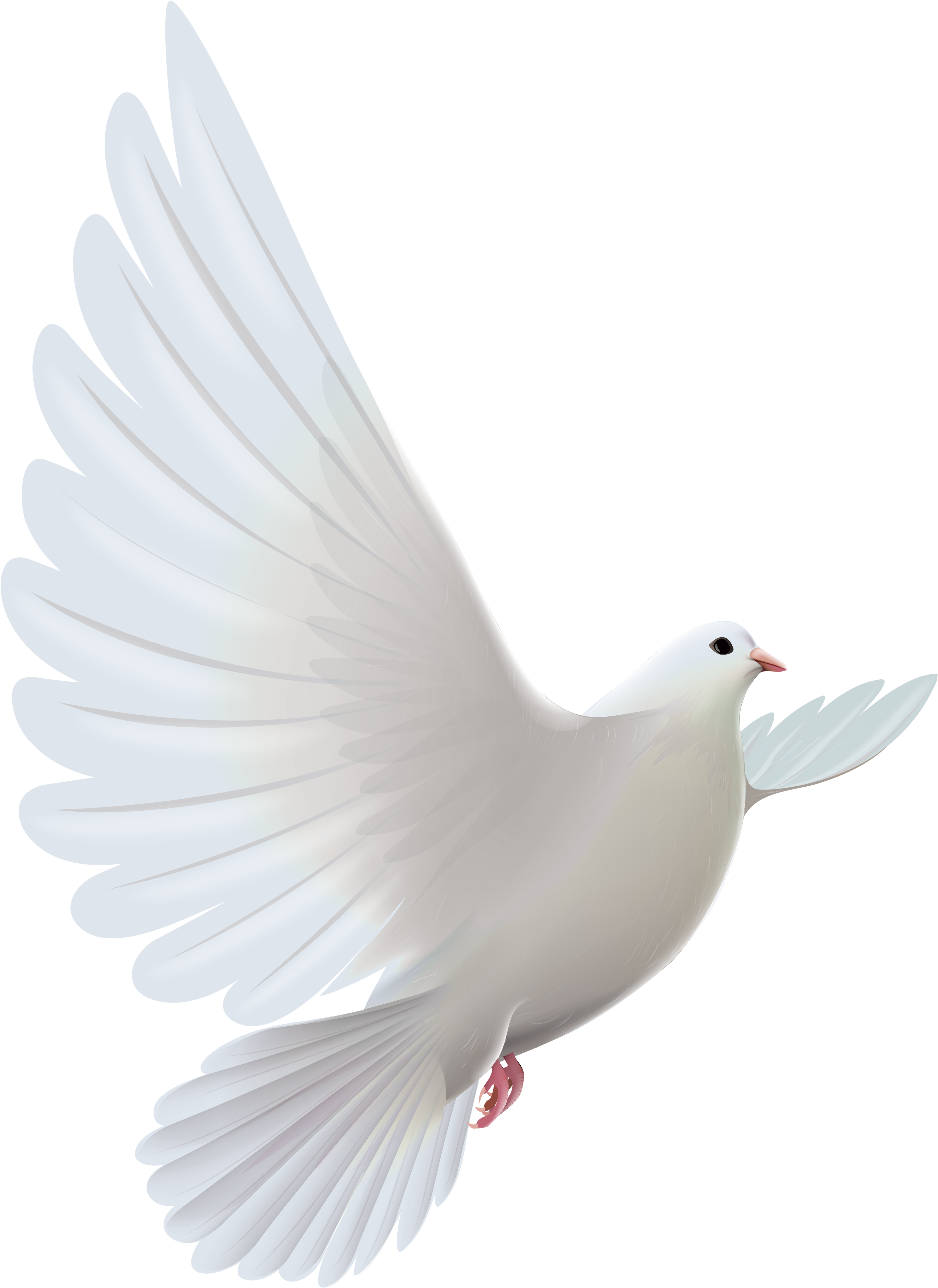 White Dove Transparent Png Clipartu200b Gallery Yopriceville - White Pigeon Flying Png (3904x5175)