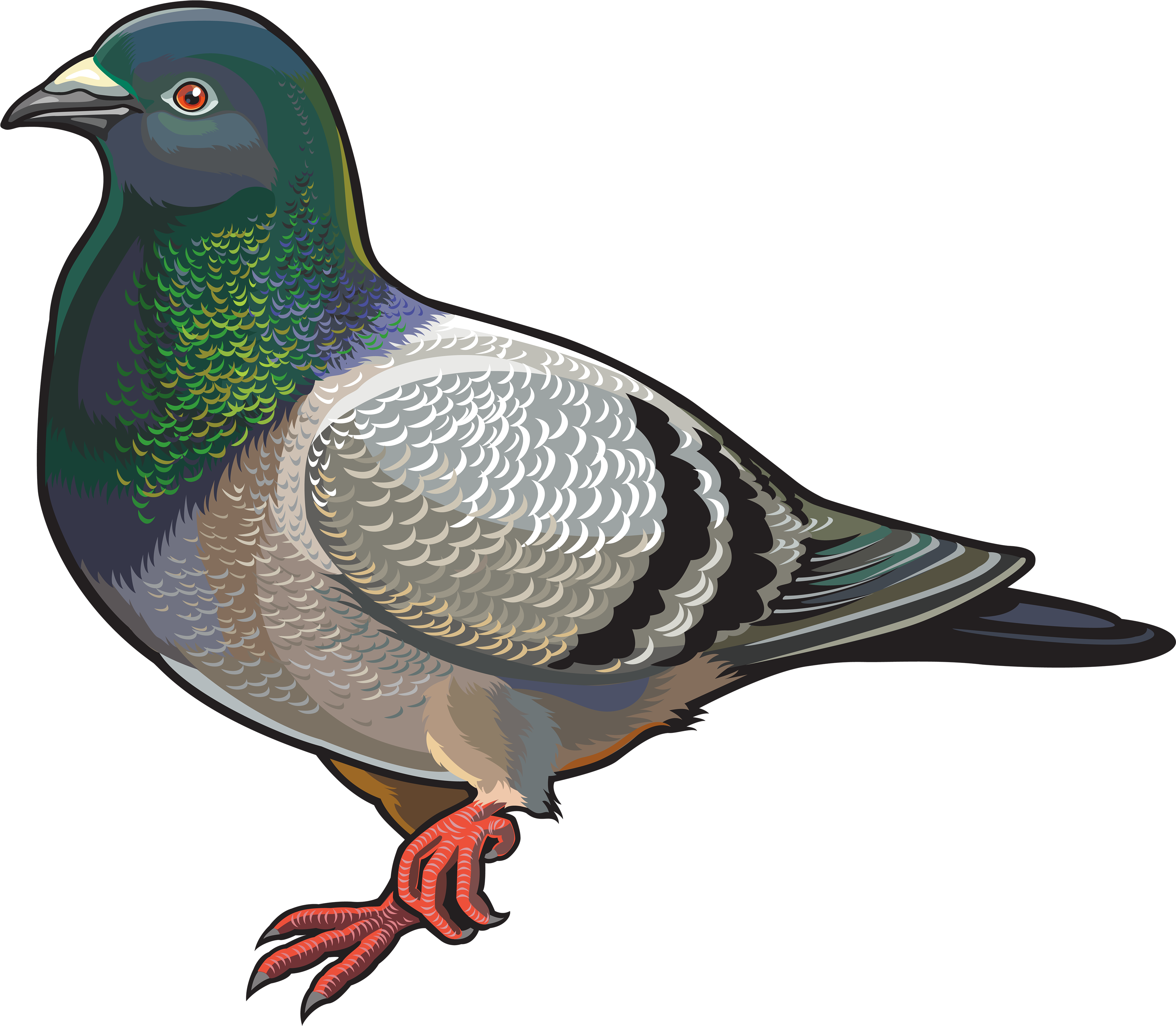 Pigeon Png Clipart - Destinationvinyl 2 X 10cm/100mm Pigeon Vinyl Sticker (4000x3489)